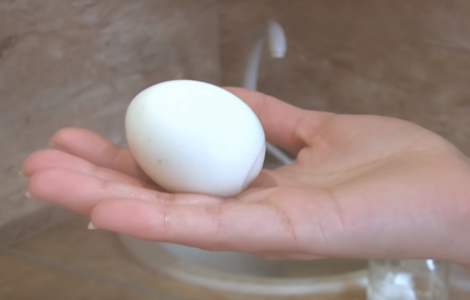 Todo mundo quer comer um ovo por Gorny perfeito! / Fonte Foto: youtube.com/channel/UCagplR5T275T6em4AQOYNbQ