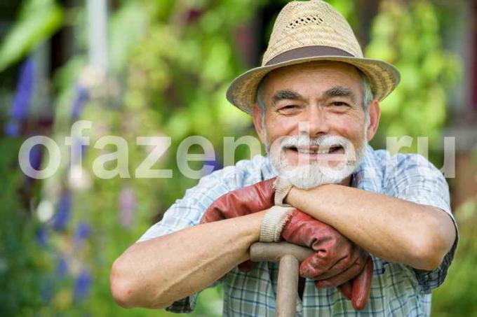 Tratamento jardim Calendário contra pragas