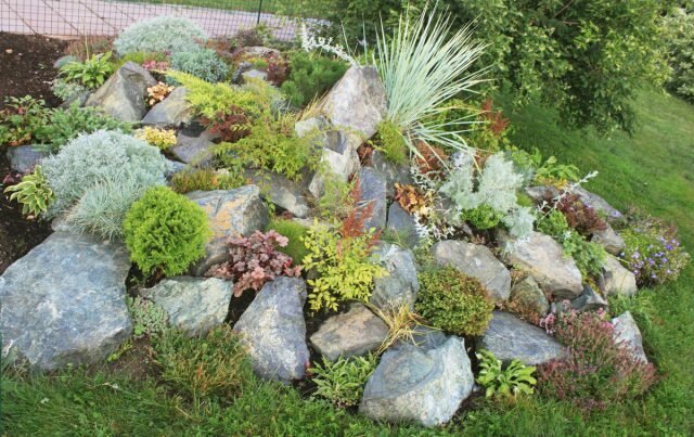 Alpine Hill: uma descrição passo a passo de como fazer um jardim de rocha com as próprias mãos