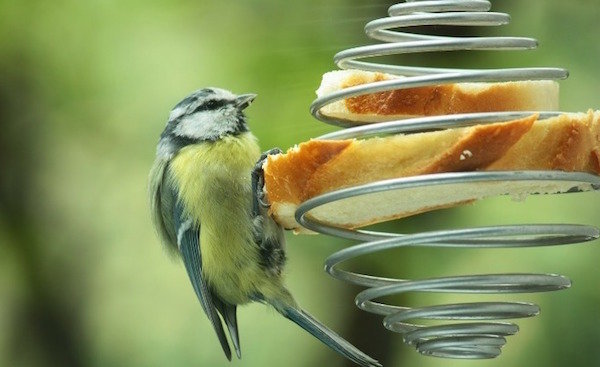 Alimentadores de pássaros incomuns fora de materiais de sucata
