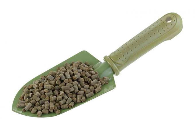 8 adubação útil para uma boa colheita pepinos