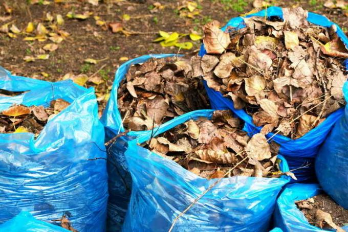 Compost em sacos de folhas caídas. Ilustração para um artigo é usado para uma licença padrão © ofazende.ru
