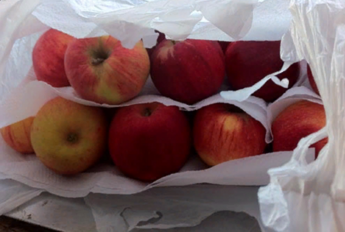 Como manter maçãs frescas para o inverno em casa