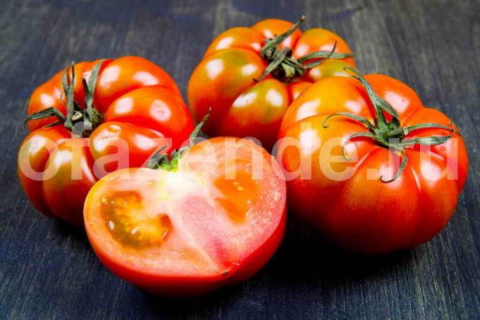 Como acelerar o amadurecimento de tomates