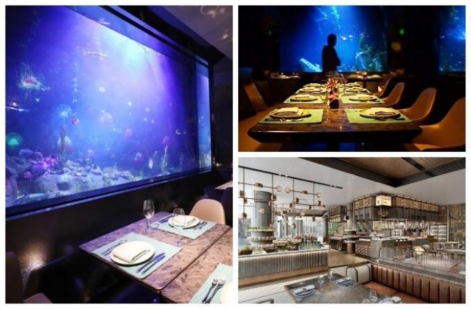 Underwater restaurante Mr Fisher Hotel Songjiang InterContinental.