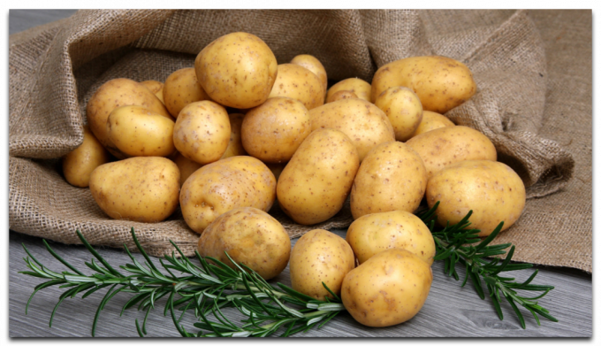 Settle nas 3 variedades de batatas! Você não vai se arrepender! 👍