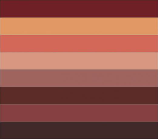 A paleta de bordô e cores adjacentes