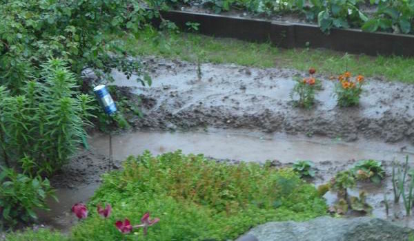 O fortalecimento caminhos entre as camas, para que eles não se tornam após a chuva no "pântano"