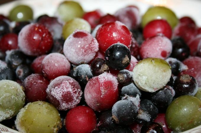 Como guardar blueberries na geladeira: como congelar para o inverno, quanto você pode economizar, vídeos e fotos