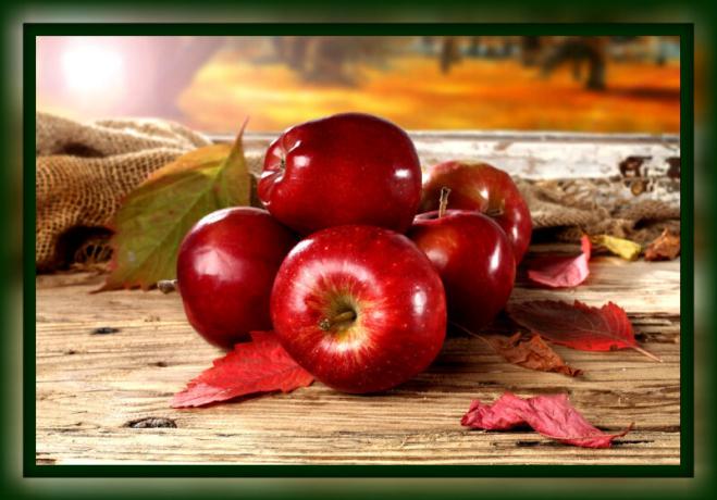 Como manter maçãs frescas para o inverno em casa