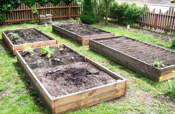 Como melhorar o solo de argila no jardim, sem grandes investimentos financeiros. minha experiência